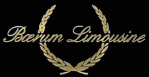 Brum Limousine - LOGO.jpg (43166 bytes)